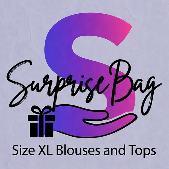 Surprise Bag XL Ladies Blouses and Tops Gently Loved Party or Business Casual - Picture 1 of 1